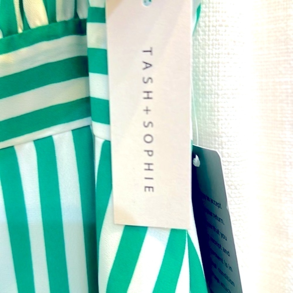 NWT Women’s Tash + Sophie Anthropologie Green & White Striped Midi Dress Size 12 - Picture 6 of 16